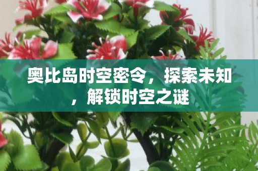 奥比岛时空密令图片