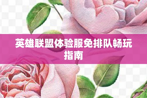 英雄联盟体验服免排队畅玩指南图片