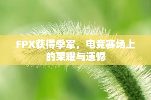 电竞赛场上的荣耀与遗憾图片