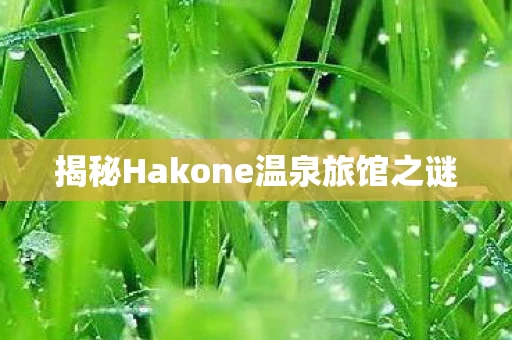 揭秘Hakone温泉旅馆之谜图片