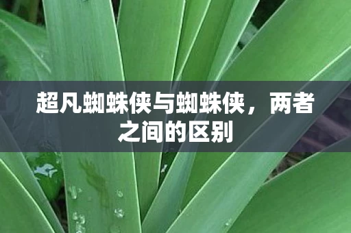超凡蜘蛛侠与蜘蛛侠图片
