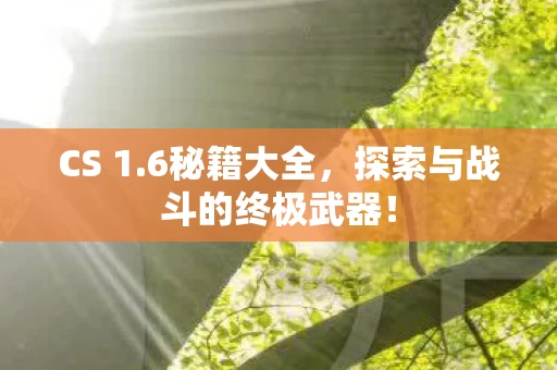 探索与战斗的终极武器图片