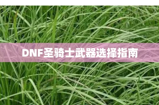 DNF圣骑士武器选择指南图片