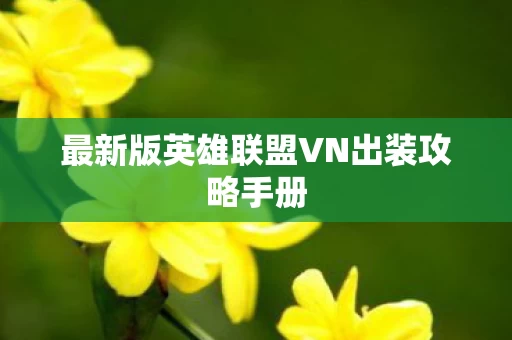 最新版英雄联盟VN出装攻略手册图片