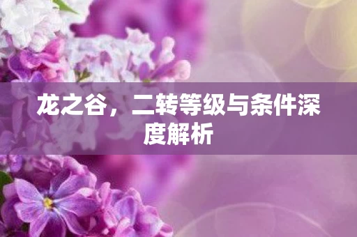 二转等级与条件深度解析图片