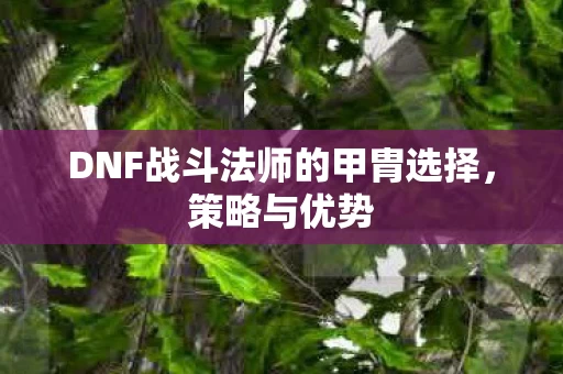 DNF战斗法师的甲胄选择图片