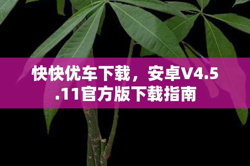 11官方版下载指南图片