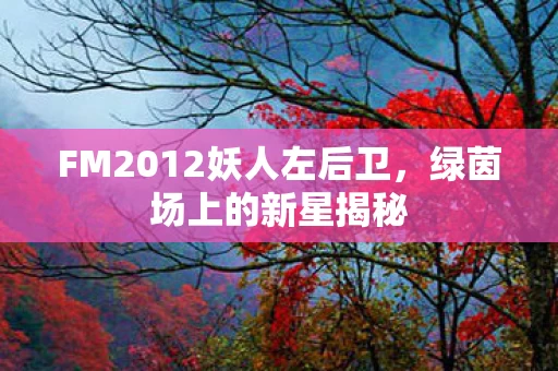 FM2012妖人左后卫图片