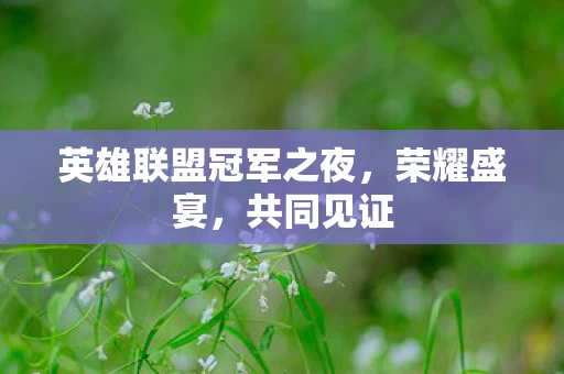英雄联盟冠军之夜图片