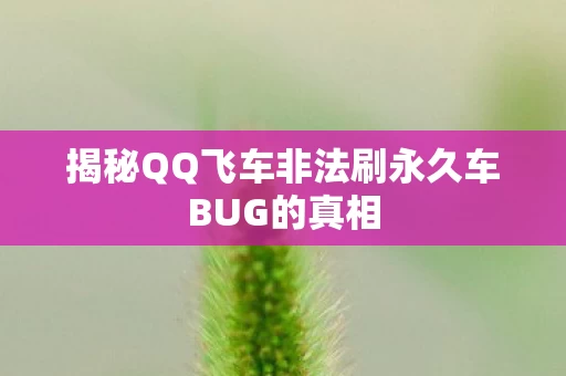 揭秘QQ飞车非法刷永久车BUG的真相图片