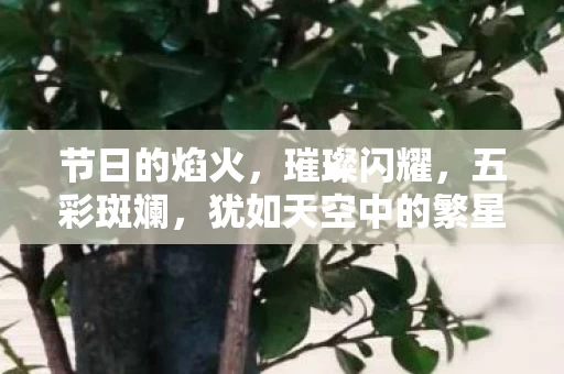 节日的焰火打一成语是什么呢图片