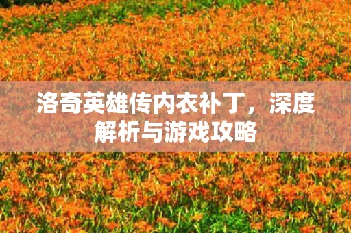 洛奇英雄传内衣补丁图片