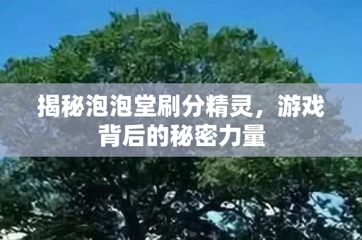 揭秘泡泡堂刷分精灵图片