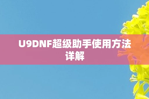 U9DNF超级助手使用方法详解图片