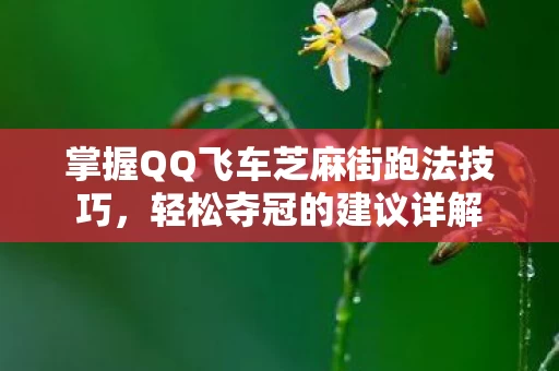 掌握QQ飞车芝麻街跑法技巧图片