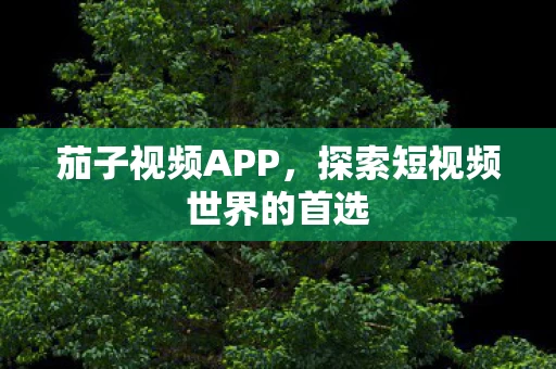探索短视频世界的首选图片