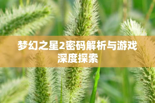 梦幻之星2密码解析与游戏深度探索图片