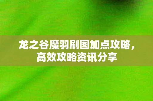 龙之谷魔羽刷图加点攻略图片