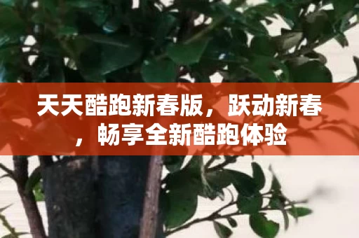 畅享全新酷跑体验图片