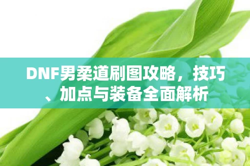 DNF男柔道刷图攻略图片