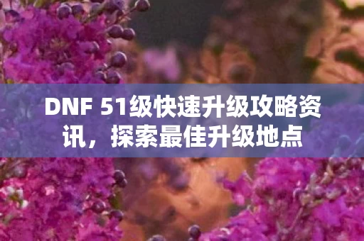 DNF 51级快速升级攻略资讯图片
