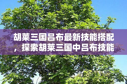 探索胡莱三国中吕布技能搭配的新思路图片