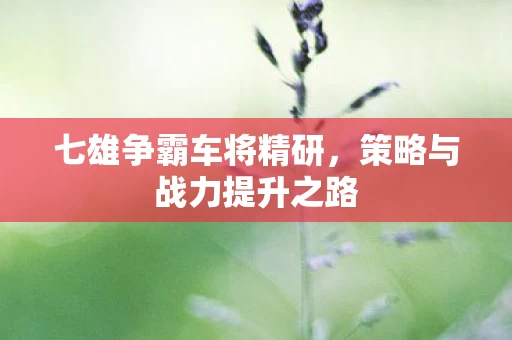 策略与战力提升之路图片