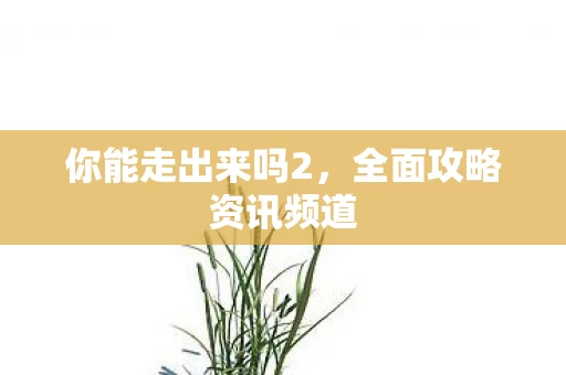 全面攻略资讯频道图片