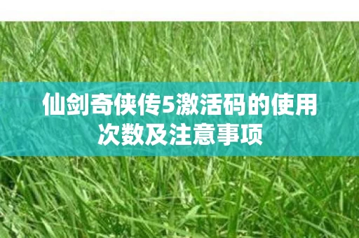 仙剑奇侠传5激活码的使用次数及注意事项图片