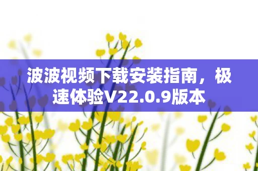 波波视频下载安装指南图片