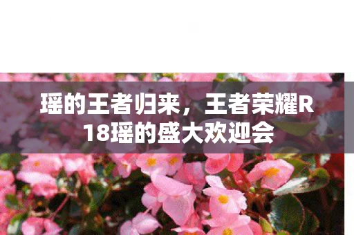 王者荣耀R18瑶的盛大欢迎会图片