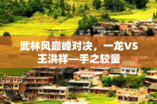 武林风巅峰对决图片