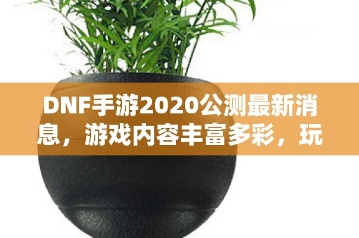DNF手游2020公测最新消息图片