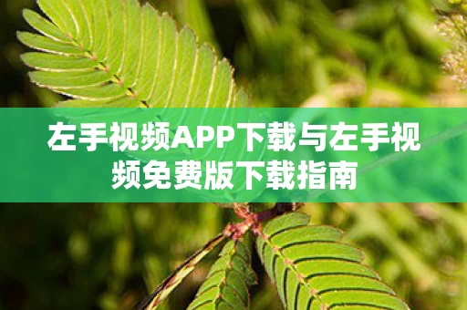 左手视频APP下载与左手视频免费版下载指南图片