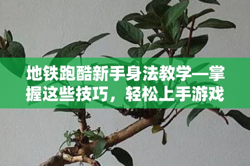 地铁跑酷新手身法教学图片