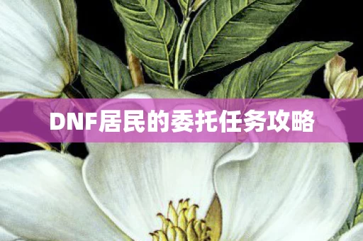 DNF居民的委托任务攻略图片