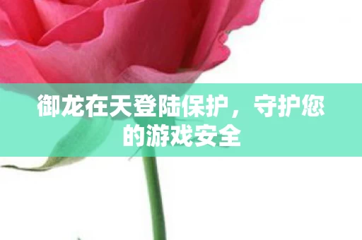 御龙在天登陆保护图片