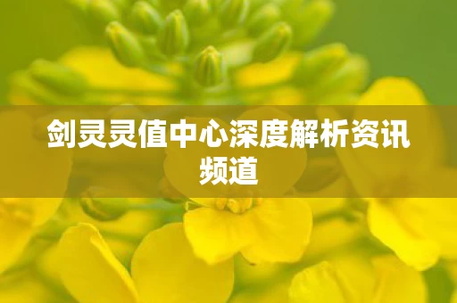 剑灵灵值中心深度解析资讯频道图片