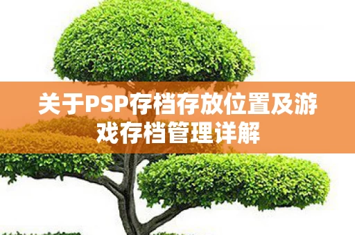 关于PSP存档存放位置及游戏存档管理详解图片