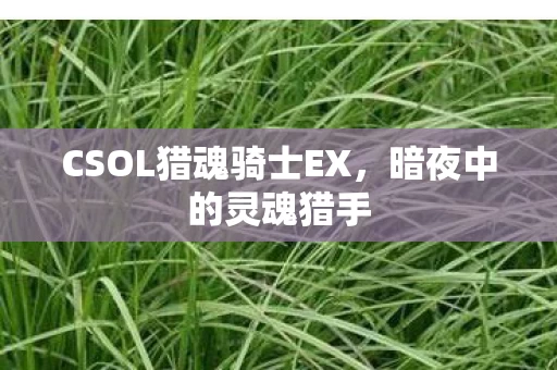 CSOL猎魂骑士EX图片