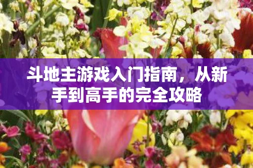 从新手到高手的完全攻略图片