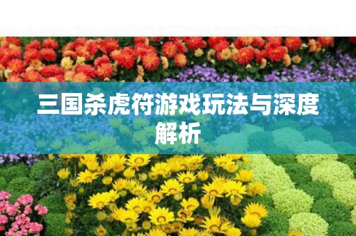 三国杀虎符游戏玩法与深度解析图片