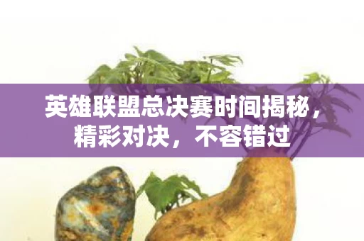 英雄联盟总决赛时间揭秘图片