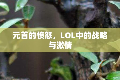 LOL中的战略与激情图片