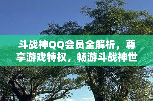 斗战神QQ会员全解析图片