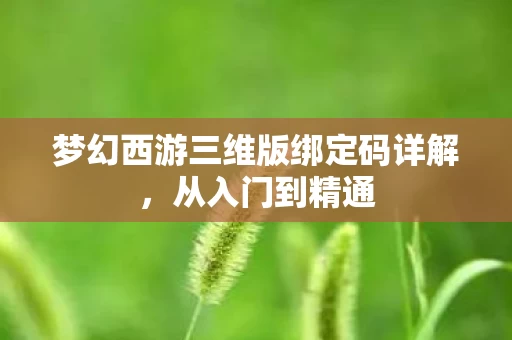 梦幻西游三维版绑定码详解图片