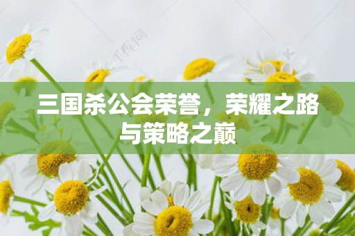 荣耀之路与策略之巅图片
