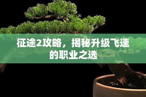 揭秘升级飞速的职业之选图片