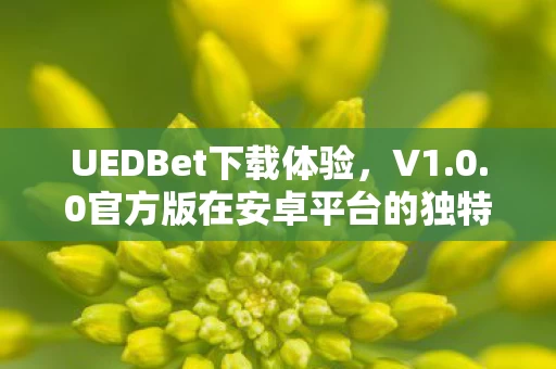 0官方版在安卓平台的独特魅力图片