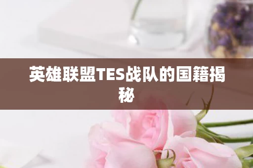 英雄联盟TES战队的国籍揭秘图片